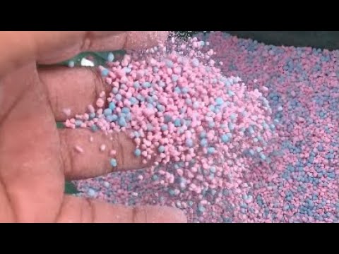 ASMR// OUTSIDE GARDENING 🍃👩🏽‍🌾( Weed Treatments) 😃🌻🌼