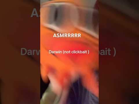 4am silent show and tell ASMR #help #asmr #domo #gumballwatterson #trinkets