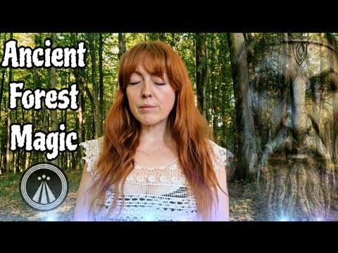 Powerful Healing in Wales’s Largest Ancient Forest 🌳| Something was watching me… 👀| Reiki ASMR ✨