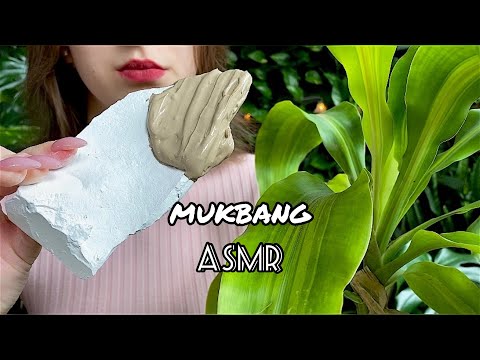 Зефир с шоколадной пастой🥥// Marshmallow with chocolate paste// MUKBANG