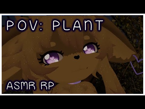 POV: Cutie Plant [ASMR Soft Spoken, Digging, Petting, Pruning, Spray Bottle, Night time Ambiance]