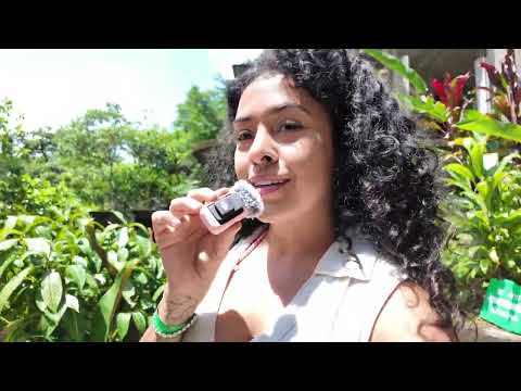 ASMR en UN LUGAR MÁGICO 🪄 EL JARDÍN DE EDWARD sonidos de naturaleza súper relajante
