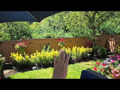 ASMR Small Space Garden Tour | Whispered 