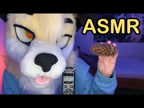 [Furry ASMR] Pinecone Sounds | Tapping, Clicking