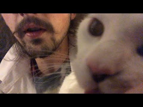 ASMR 1 Minute Cranial Nerve Exam but you’re in a Vet’s office Roleplay