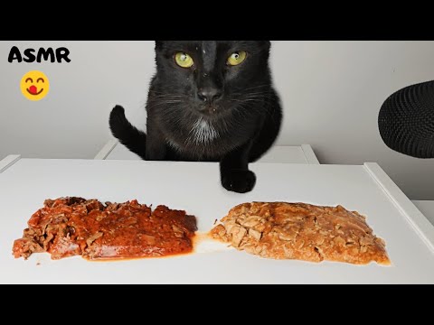 Cat eating Jelly food ASMR