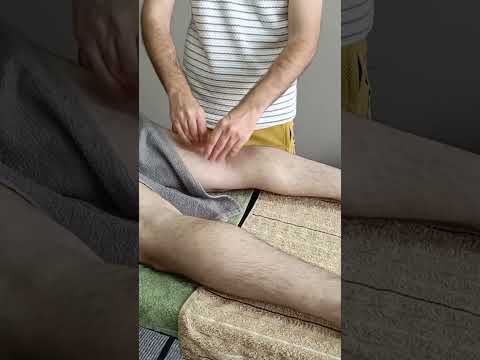 MASSAGE THAT PROVIDES INCREDIBLE RELIEF IN THE HIND LEGS #satisfying #relaxing #asmr #shorts