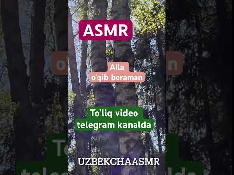 @uzbekchaasmr telegram kanalda to’liq alla #uzbek #asmr #uyqu #uhlash #relax