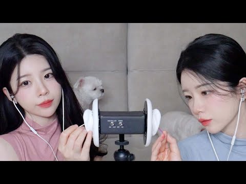 ASMR 간지럽고 자극적인 쌍둥이들의 네가지 면봉 귀청소 / 양쪽 동시 & 좌 우 구분 / Twin Ear Cleaning ( INTENSE ) tingle party / 1시간