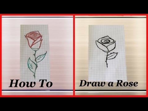 How to draw a rose