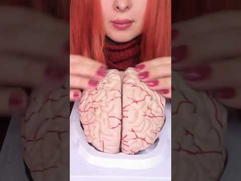 ASMR 🧠 BRAIN TINGLES... Literally! Sleep & Relaxation #asmr #shorts