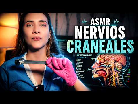 ASMR NERVIOS CRANEALES realista y completo | Asmr Roleplay 4k