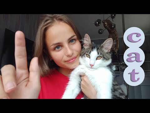 АСМР с Котиком | ASMR With Cat