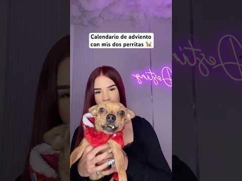 Calendario de adviento con mis DOS perritas 🐕🎁 #calendariodeadviento #asmreating #dogeatingasmr