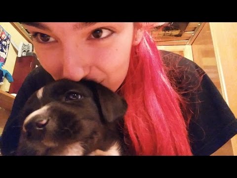 [ASMR ESPAÑOL] Os presento a mi perrita ^^