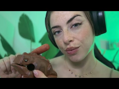 ASMR: Echo Rain Wooden Frog 💤