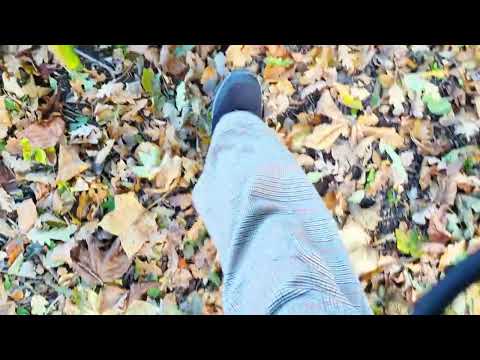 30 second walking through autum leaves 🍃🍁🍂