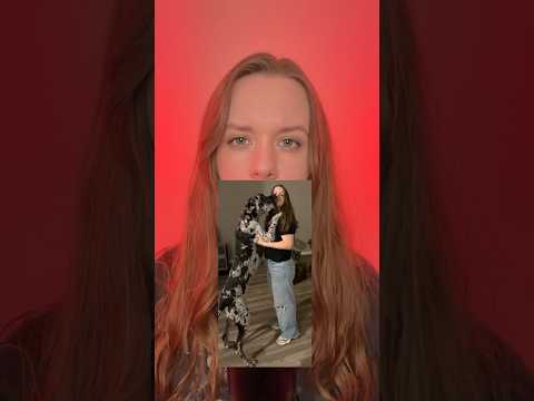 Can My Dog Predict The Superbowl Winner? 🤔🏈 #asmr