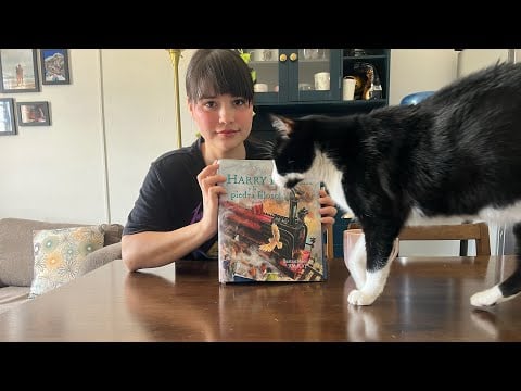 ASMR leyendo Harry Potter y la piedra filosofal 
