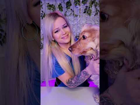 My Doggie (pt.2) Giving Her a New Hairdo 💈🐶 #asmr #dog #hairdo