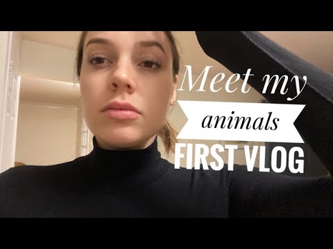 MEET MY CHILDREN- FIRST VLOG