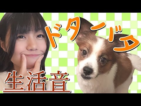 【生配信】一部爆音注意！！！生活音満載の雑談ASMR【女性配信者】