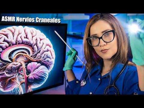 ASMR de NERVIOS CRANEALES como ningún otro: Completo, realista y relajante | ASMR español with Sasha