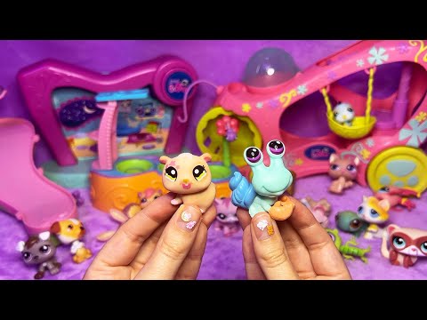 ASMR Littlest Pet Shop Show and Tell (Whispered)