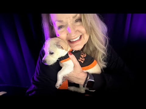 ASMR / Gently Brushing My New Puppy To Sleep 🐶 ♥️
