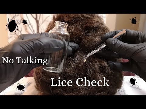 Real Person ASMR Lice Check and Scalp Inspection 6.2 No-Talking