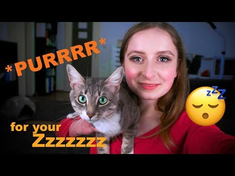 🐱 ASMR WITH MY CAT 🐱