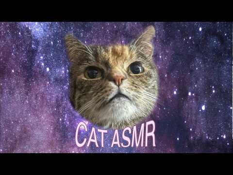 wax cracking and cat ASMR | reupload 
