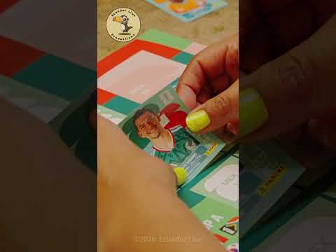 2026 World Cup Sticker Album ASMR
