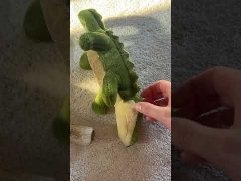 ASMR Tapping and Scratching Dog Toys #asmr #visualtingle #asmrtapping #asmrscratching #asmrvideo