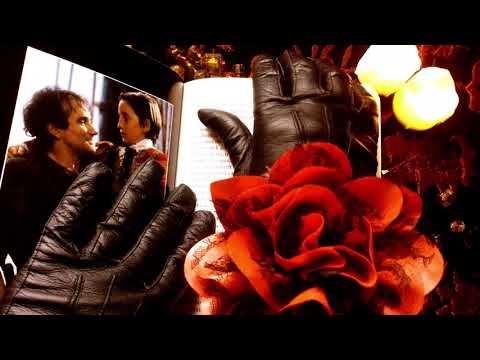 LEATHER GLOVES🖐️👄 Reading in Dutch 👉🇳🇱 HOOK🖤  [[ASMR]]