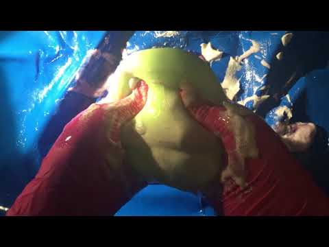 VINYL GLOVES ✋ 🤚  ➰⚠️ Ritual Slaughter of Squeezie Toys🤪🖤🐙  Messy‼️  👅  [[ASMR]]