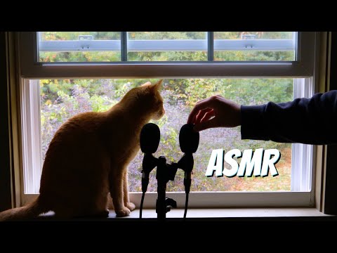 ASMR Scratching by an Open Window with Nature Sounds