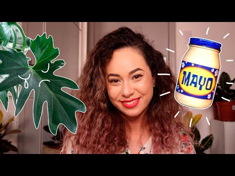 COMO LIMPAR AS FOLHAS DAS PLANTAS COM MAIONESE