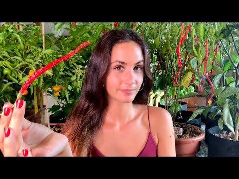 Un roleplay molto caldo 🌶 | ASMR ITA | Chili Pepper Shop ◇ soft spoken