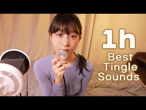 ASMR✨1Hour Best Tingles🎇집나간 팅글이 돌아오는 팅글 모음집 1시간! [표은지 ASMR]