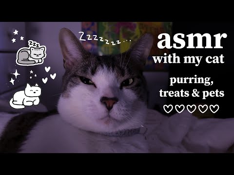 ASMR feeding my cat some treats (INTENSE PURRING) + scratches, fur sounds, pack crinkles + crunching