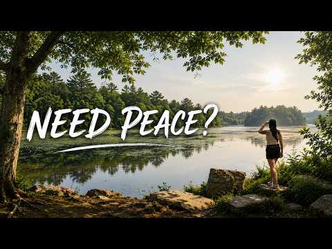 🌿 ASMR Nature Walk | A Peaceful Escape Through Borderland State Park