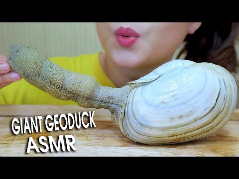 ASMR Mukbang eating Giant geoduck Part 02 , Chewy Crunchy eating sound 먹방 | LINH-ASMR