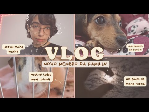 ASMR VLOG #2 | NOVO MEMBRO DA FAMÍLIA! 🐶✨️
