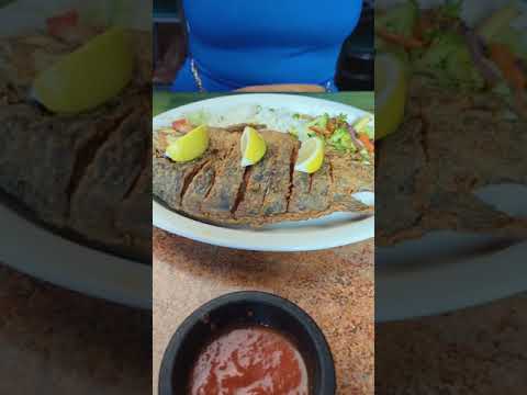 Visit Adelitas Mexican restaurant in Santa Fe NM #food #santafenm #viralvideo #fish #vlog