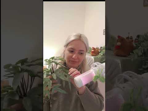 ASMR Plant & Leaf Crinkling  #asmr #asmrsounds #whispering