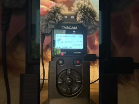 ASMR | Ear To Ear Tascam Mic Brushing ✨ #relax #tingles #asmr #micbrushing