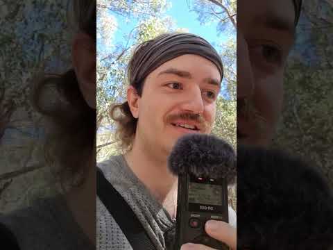 Walk in the Aussie Bush ASMR #asmr #relaxing #whispering