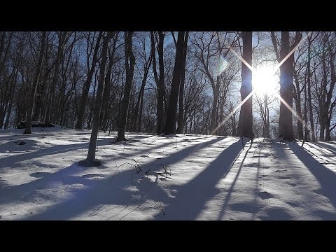 Relaxing Nature Journey / Walkabout #12 (Non-speaking) - Winter 2014 - Binaural - Snow sounds