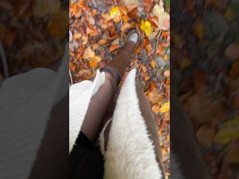ASMR mit Nylons in den Blättern. 🍁
